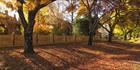 Finch Street - Beechworth - VIC T (PBH4 00 13919)